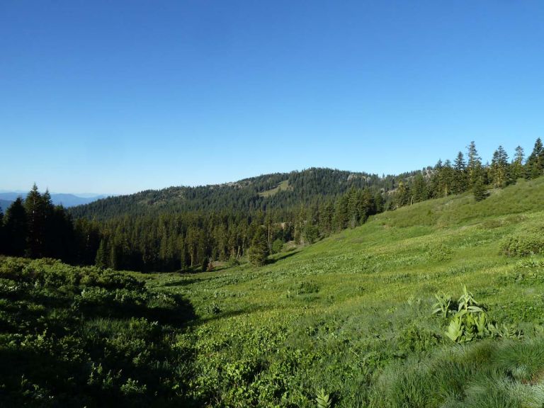 Public Land Grazing Klamath Forest Alliance