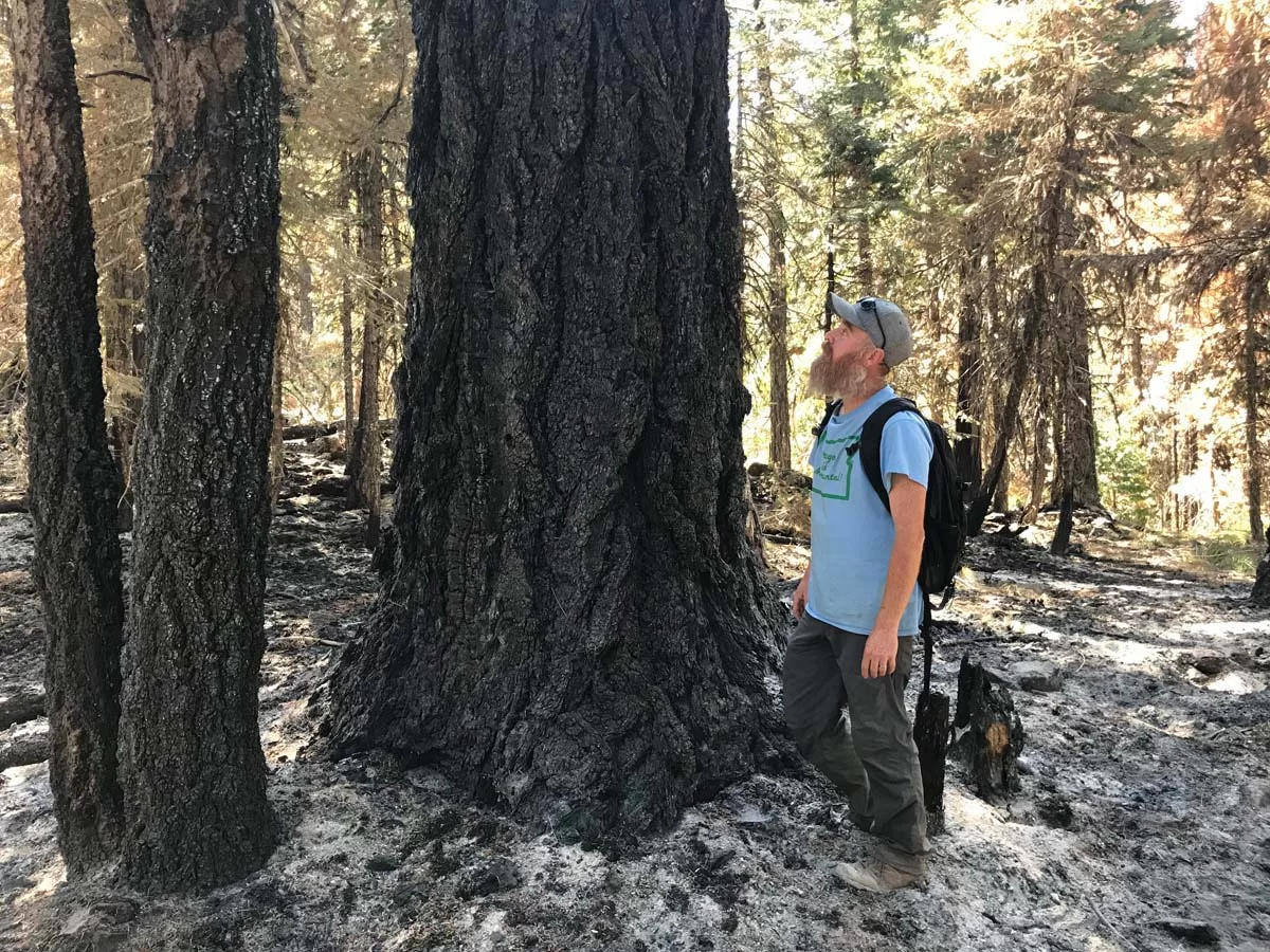 Luke Ruediger, Siskiyou Conservation Director/Klamath-Siskiyou Fire Report Program Coordinator