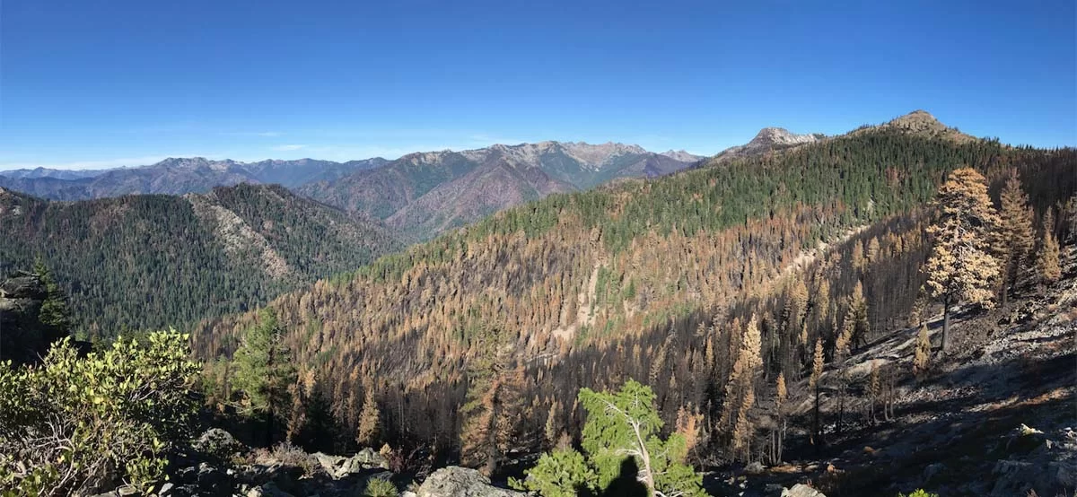 The North Fork of the Salmon River in the Marble Mountains Wilderness after the 2017 Salmon August Fire.