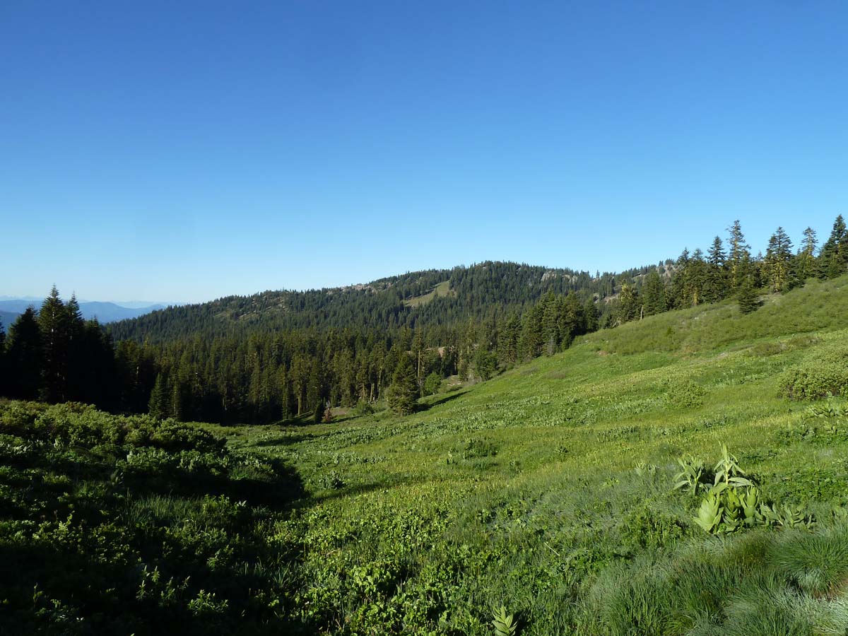 Siskiyou Crest