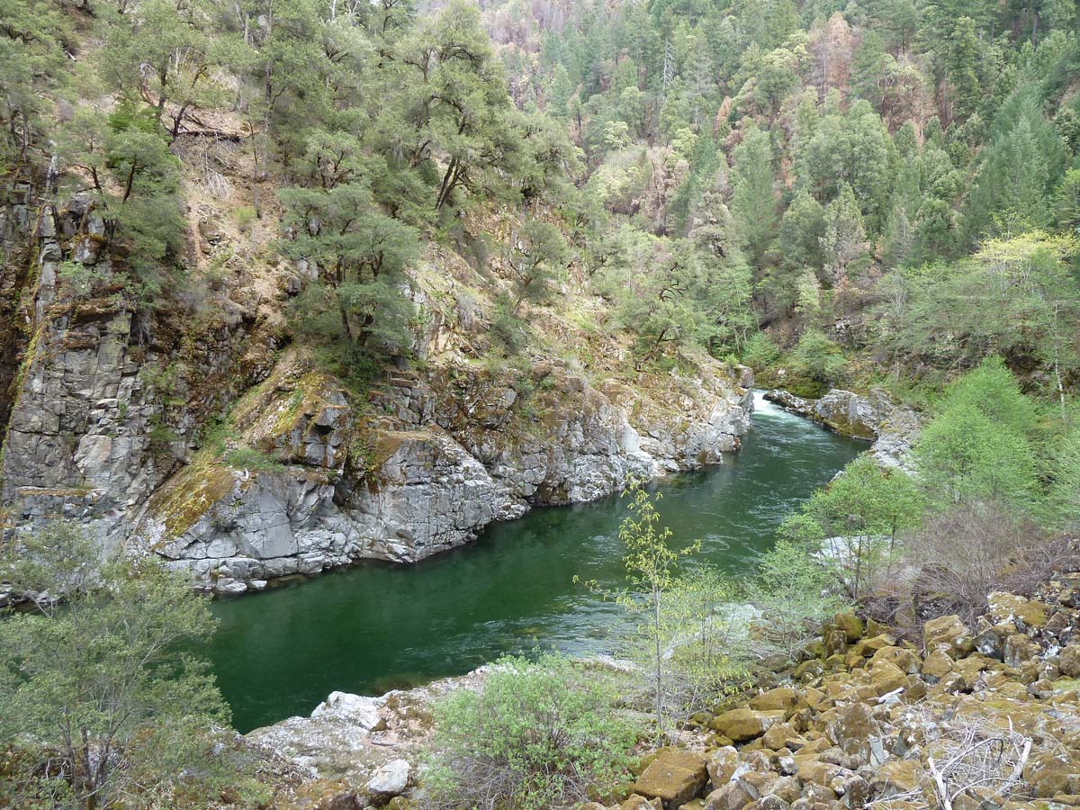 The Wild & Scenic Salmon River