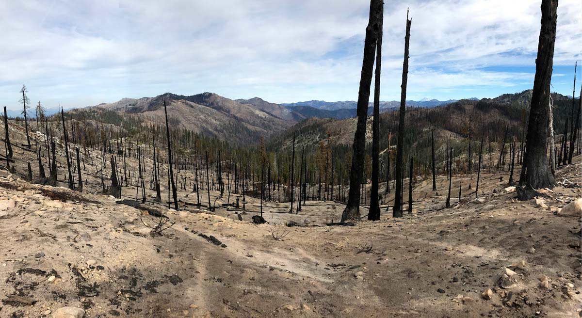 High severity fire near Chimney Rock in the Marble Mountains Wilderness